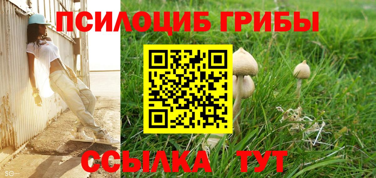Галлюциногенные грибы MAGIC MUSHROOMS  где найти наркотики  Алушта  Вход с VPN 